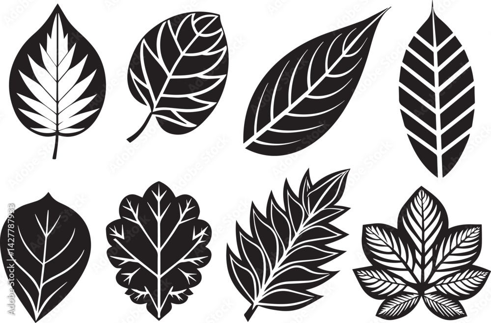Fototapeta premium Set of leaves, flat silhouette. Hand drawn vector illustration