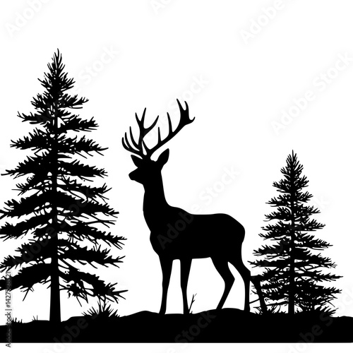 deer in the forest