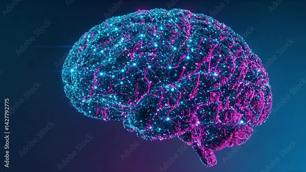 Exploring the intricate connections of a digital brain representation ...