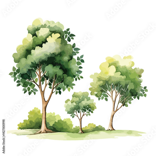 A beautiful forest with sunlight cute watercolors illustration on white background
