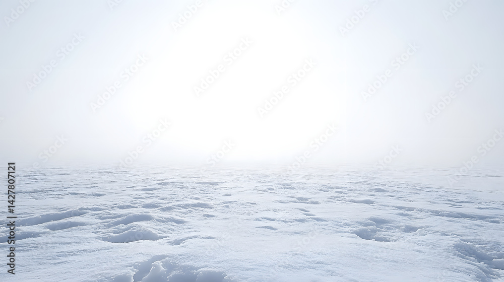 Obraz premium Endless snowy horizon scene winter landscape nature photography bright white background peaceful environment