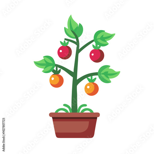 Tomato plant growing in pot vector