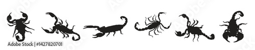 Animal Scorpion Silhouettes vector
