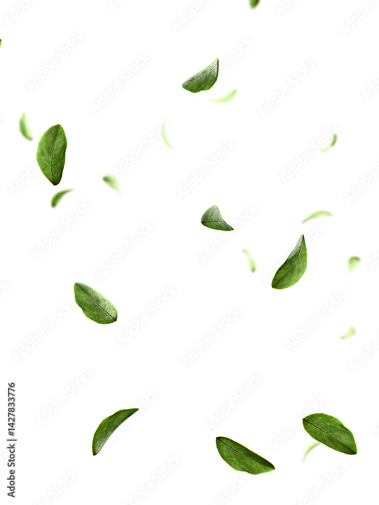 Lush green leaves flying botanical overlay 3d render Lush green leaves flying botanical overlay 3d render