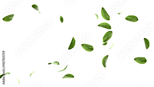 Wallpaper Mural Lush green leaves flying botanical overlay 3d render Torontodigital.ca