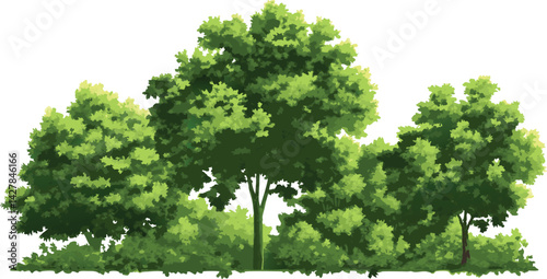 Watercolor-style illustration of a lush green forest treeline with diverse summer trees and painterly botanical details