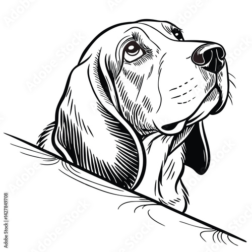 Black and White Dog Illustration Looking Up with Curious Expression