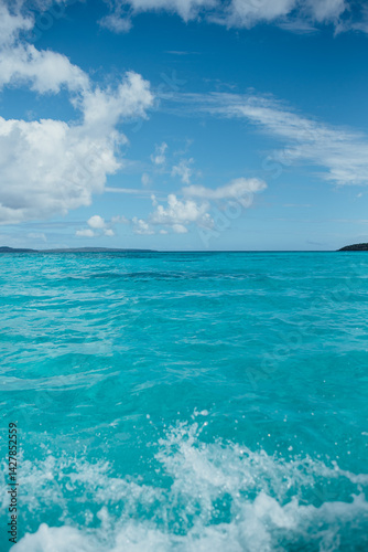 Enjoying the stunning turquoise waters during a day trip to Pele Island in Vanuatu