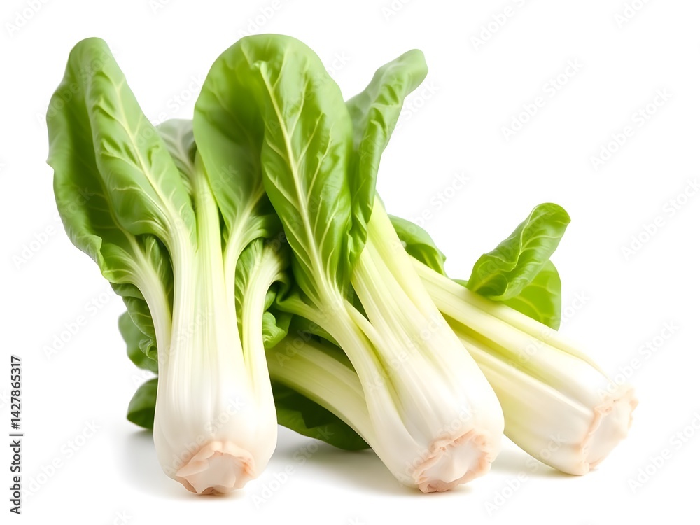 Close-up of Fresh Bok Choy Isolated on White Background – High-Resolution Stock Image for Food Blogs, Healthy Recipes, and Commercial Use Close-up of Fresh Bok Choy Isolated on White Background – High-Resolution Stock Image for Food Blogs, Healthy Recipes, and Commercial Use
