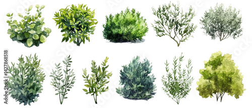 Watercolor shrubbery set for garden design, creating nature landscapes elements