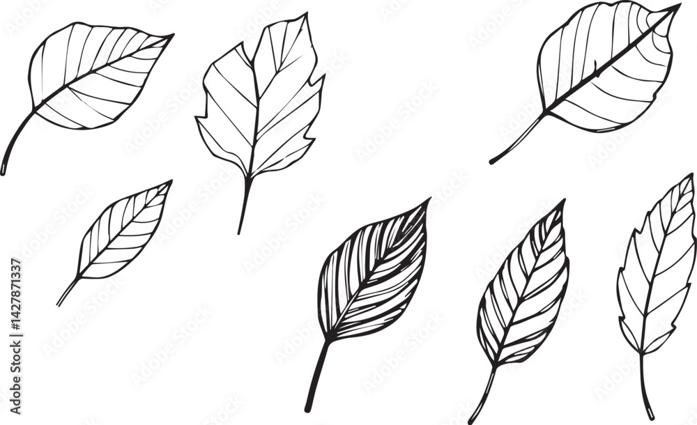 Fototapeta premium Set of leaves, flat silhouette. Hand drawn vector illustration