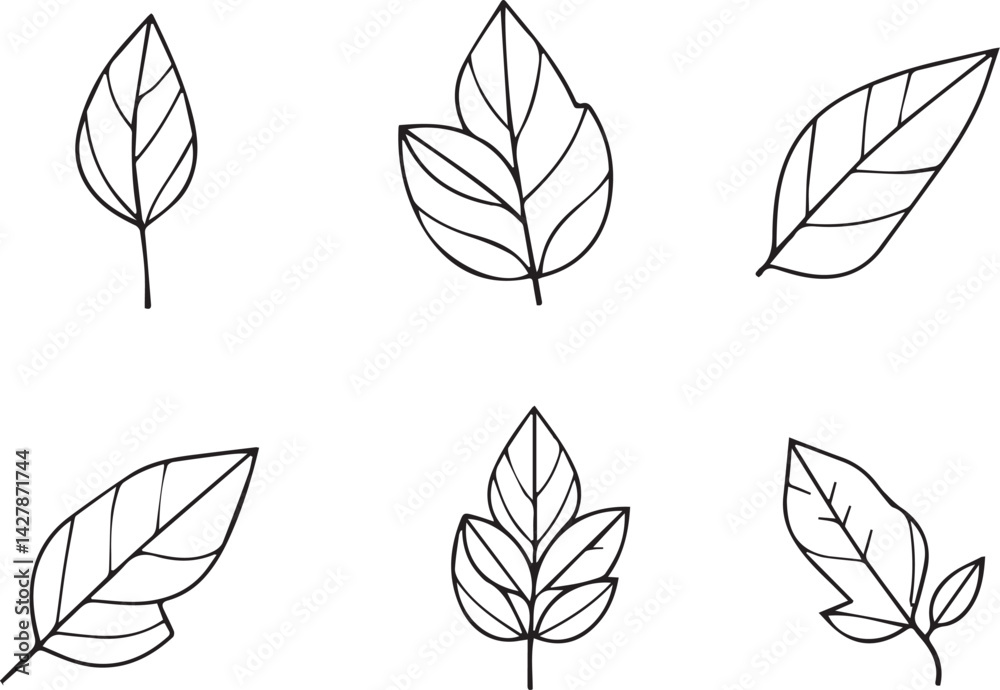Obraz premium Set of leaves, flat silhouette. Hand drawn vector illustration