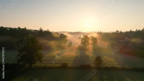 Aerial View of Sunrise over Misty Forest and Mountains.generated AI
