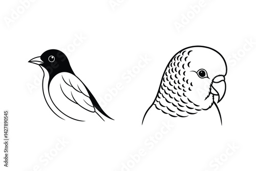 Simple line art illustration of two birds including a budgie and java sparrow