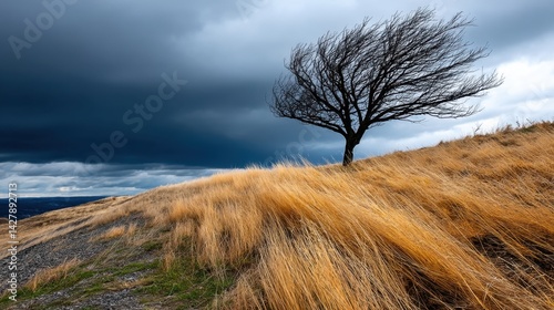 Lone leafless tree on a grassy hill under dark stormy clouds, dramatic landscape scene photo