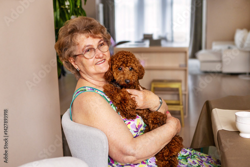 Bild auf Leinwand Smiling elderly woman cuddling miniature poodle