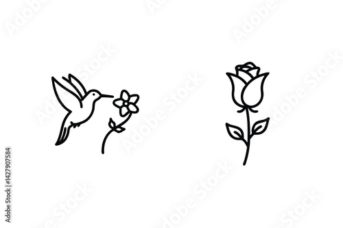 Minimalist Line Art Depicting Hummingbird With Flower And Rose Blossom Illustration