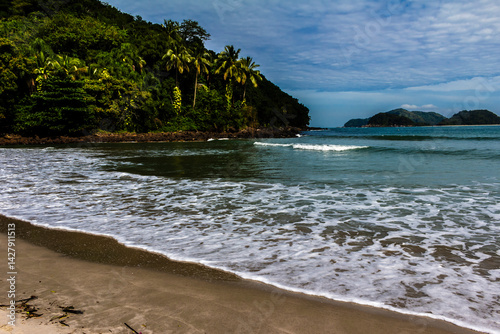 Obraz na płótnie Paradise beach on the coast of the state of São Paulo, Brazil w salonie
