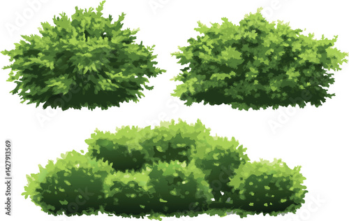 Watercolor illustration of green bushes with diverse shrub shapes and lush foliage on a white background