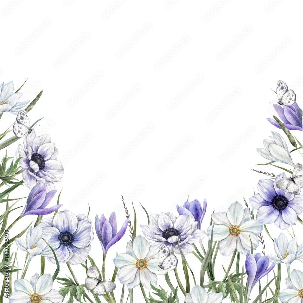 Fototapeta premium Crocuses in white and purple shades, anemones, wild herbs and flowers, light butterflies. Spring botanical watercolor frame, suitable for eco-branding, packaging, wedding designs, cards, banners.