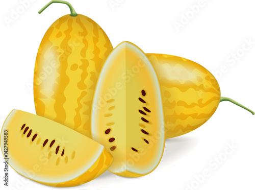 Group of whole and cut Gold in Gold watermelons.  Citrullus lanatus. Fruits and vegetables. Isolated vector illustration.