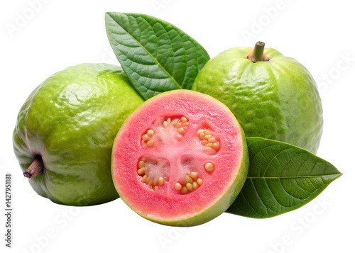 Psidium guajava isolated on white background