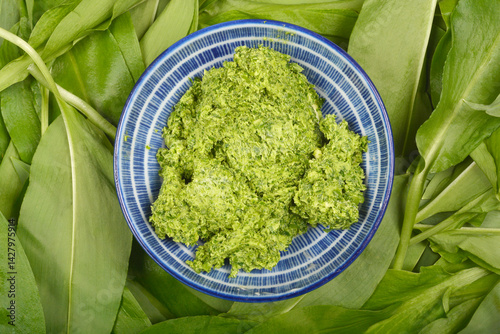 Obraz na płótnie A blue and white bowl filled with vibrant green wild garlic (Allium ursinum) butter is nestled amongst fresh wild garlic leaves in a top-down composition w salonie