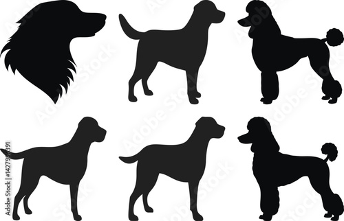 Dog Breeds Silhouette Vector Pack for Design | Dog Shapes | Pet Art | Canine Cutout | Breed Illustration