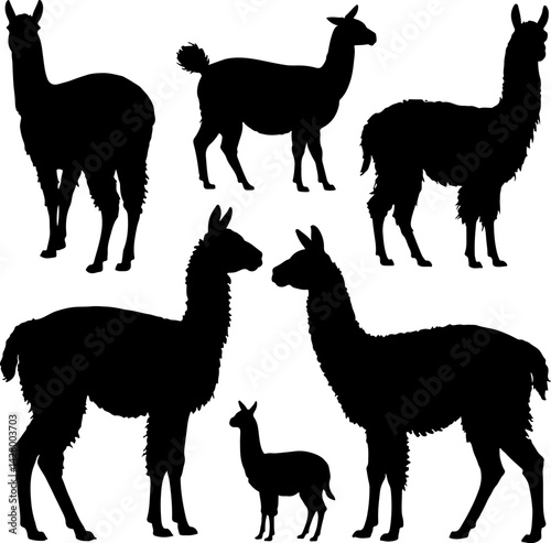 set of llama vector silhouette illustration