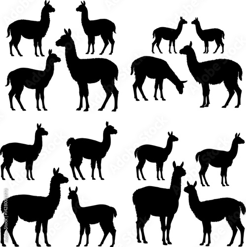 set of llama vector silhouette illustration