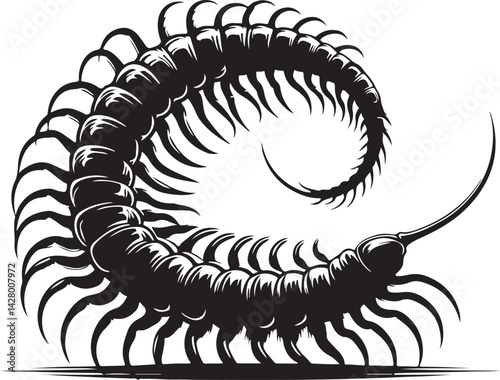 Illustration of a silhouette icon featuring a centipede