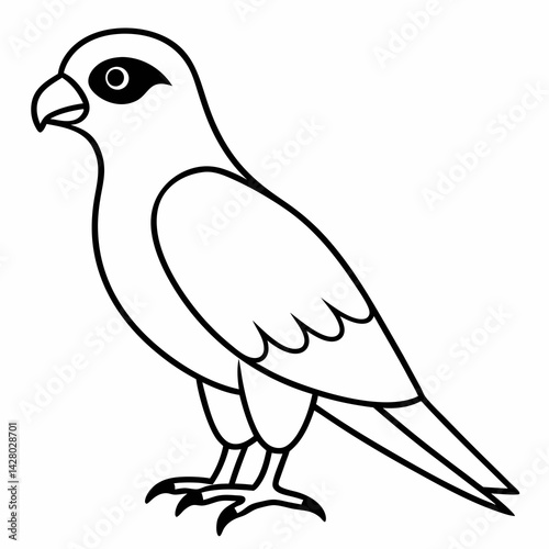 cute full body-of a falcon
