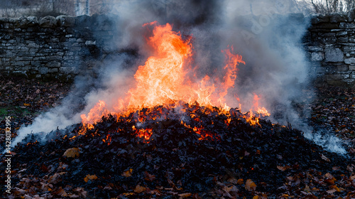 Pile of leaves burning with bright orange flames and a stone wall visible in the background