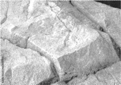 Stone Background And Layers In Halftone Mode