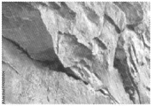 Stone Background And Layers In Halftone Mode