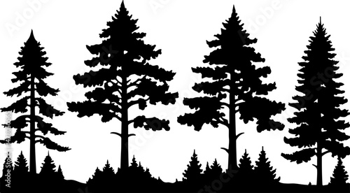 silhouettes of trees