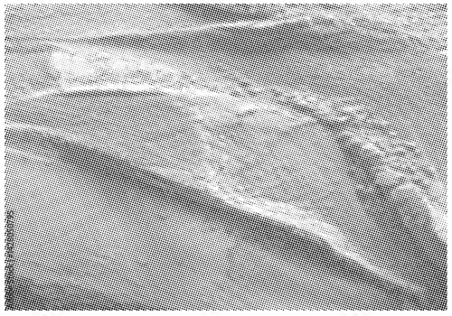 Stone Background And Layers In Halftone Mode