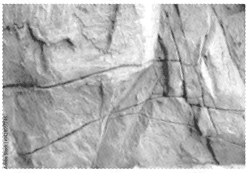 Stone Background And Layers In Halftone Mode