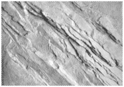 Stone Background And Layers In Halftone Mode