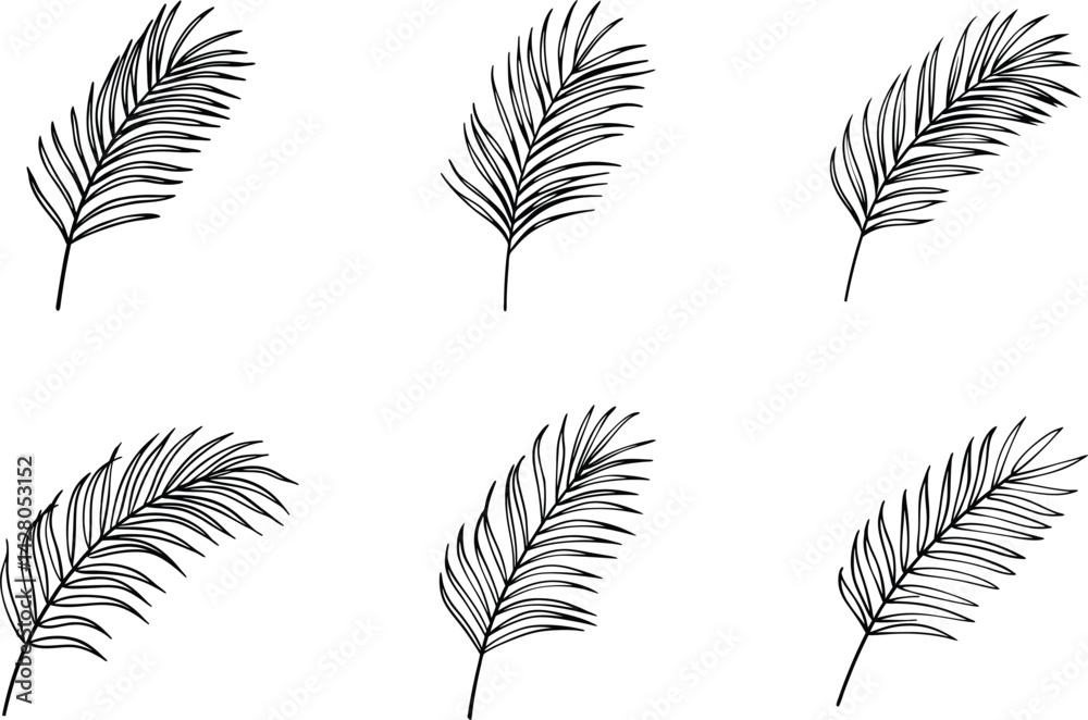 Fototapeta premium Seamless pattern of hand drawn tropical palm leaves in black and white