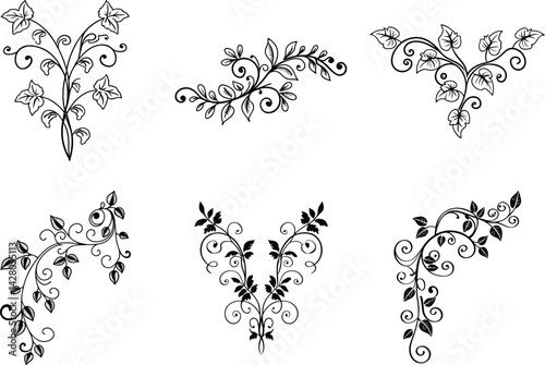 Elegant floral scrollwork collection ornamental black and white vector design elements