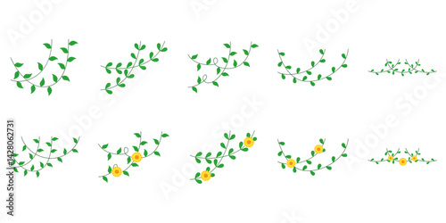 Set of vines leaves and curls for border or corner design element, cute thanksgiving, spring, autumn, halloween, environment. Vector isolated garden plant illustration.
