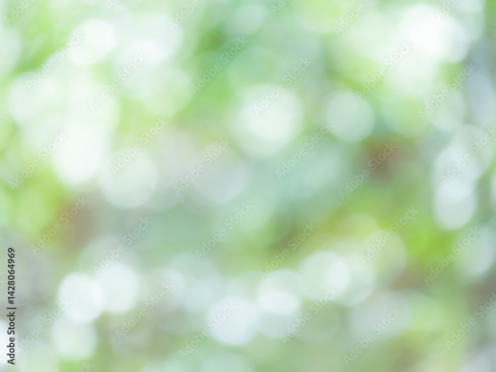 Fototapeta premium 木漏れ日の様子。爽やかな光の風景。