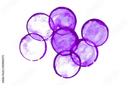 Purple watercolor splash with dynamic splash effect on transparent background. Watercolor brush.