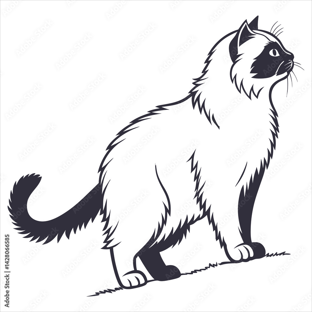 Obraz premium silhouette Persian cat on white background