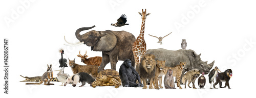 Large group of wild animals posing together on transparent background