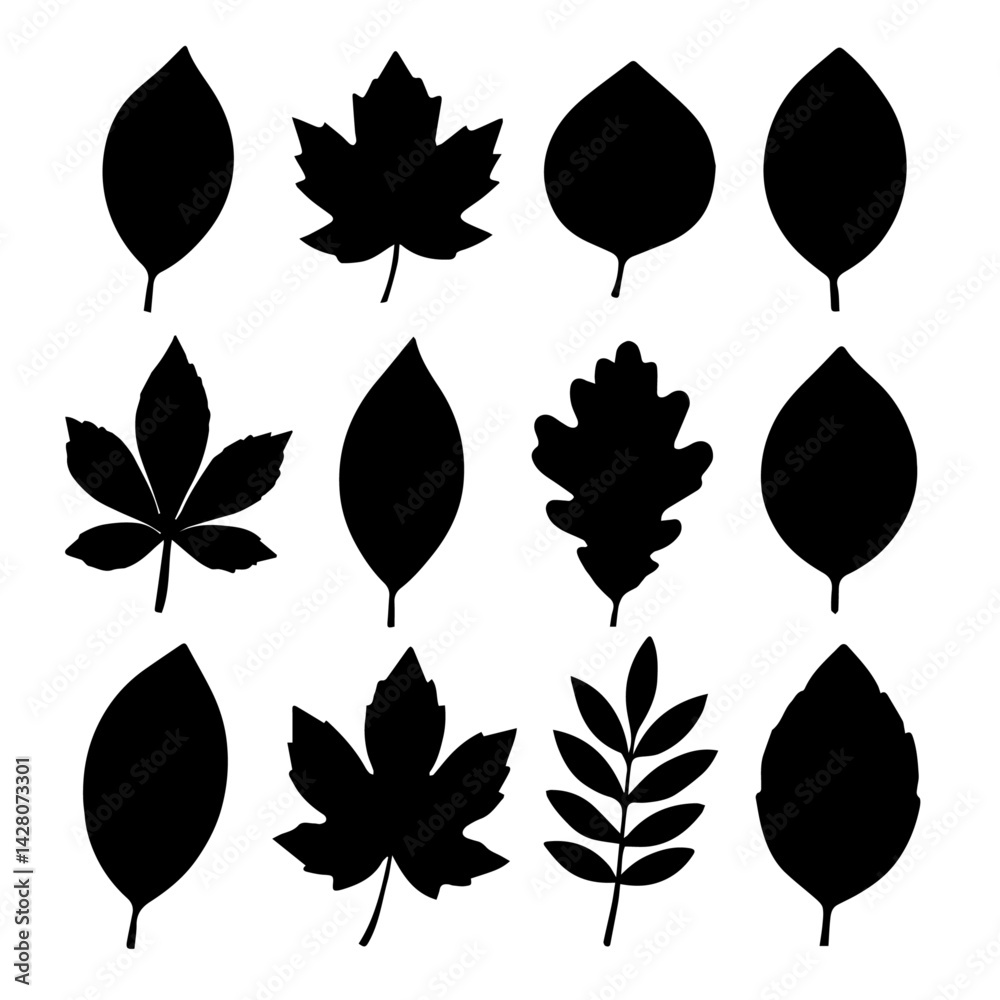 Fototapeta premium Leaf silhouettes set, vector illustration