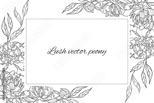 Geometric vector frame of lush peonies isolated.