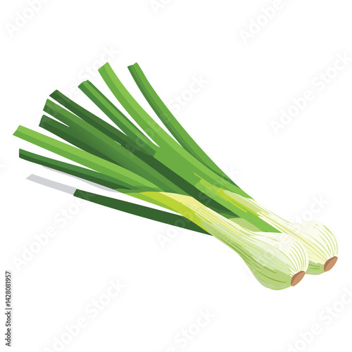 Fresh and Organic Spring Onion Vegetable

