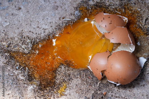A broken egg is on the floor.